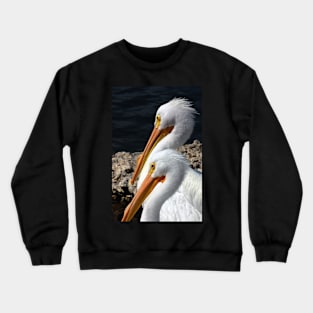 Twin Pelicans Crewneck Sweatshirt